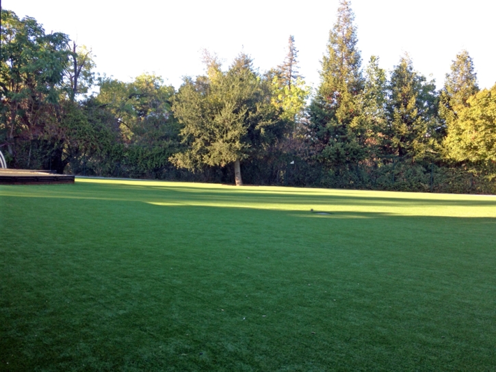 Artificial Turf Installation Honcut, California Home And Garden, Parks