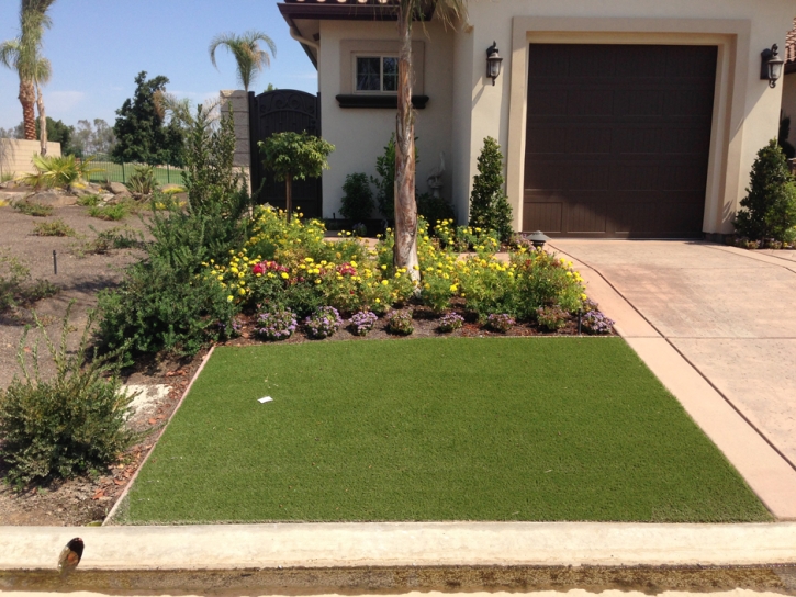 Artificial Turf Installation San Lorenzo, California Lawn And Landscape, Front Yard Landscaping Ideas