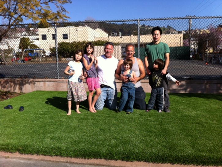 Artificial Turf Installation Washington, California Design Ideas, Commercial Landscape