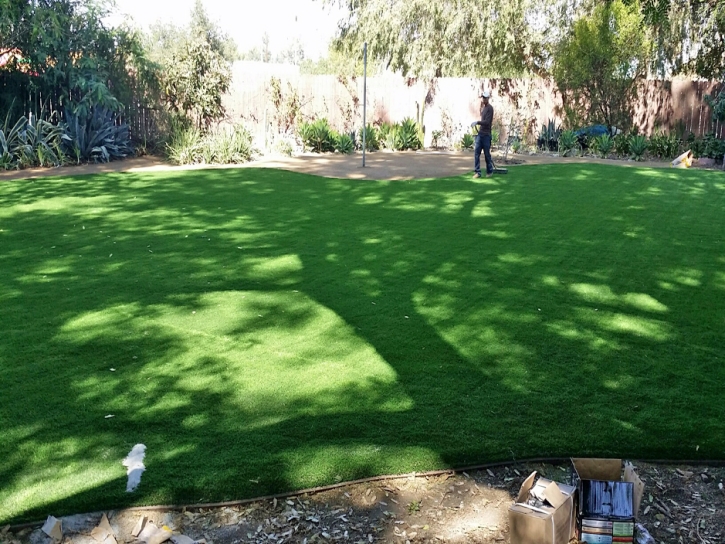 Artificial Turf Little Grass Valley, California City Landscape, Backyard Landscape Ideas