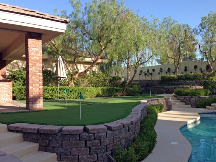 Artificial Turf Princeton, California Backyard Playground, Front Yard Ideas