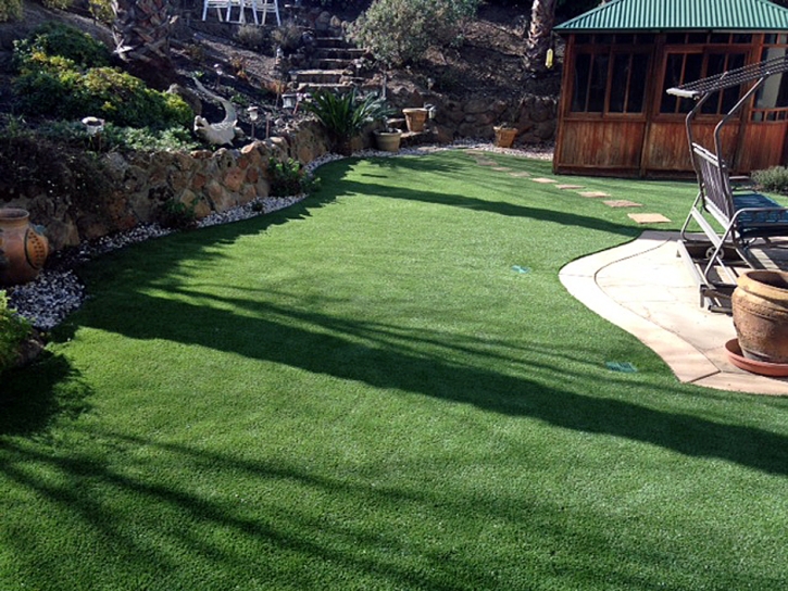 Artificial Turf San Pablo, California Backyard Playground, Backyards