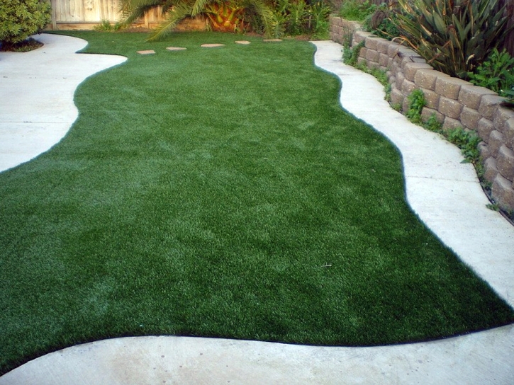 Artificial Turf Tuolumne City, California Landscape Rock, Backyard Landscaping