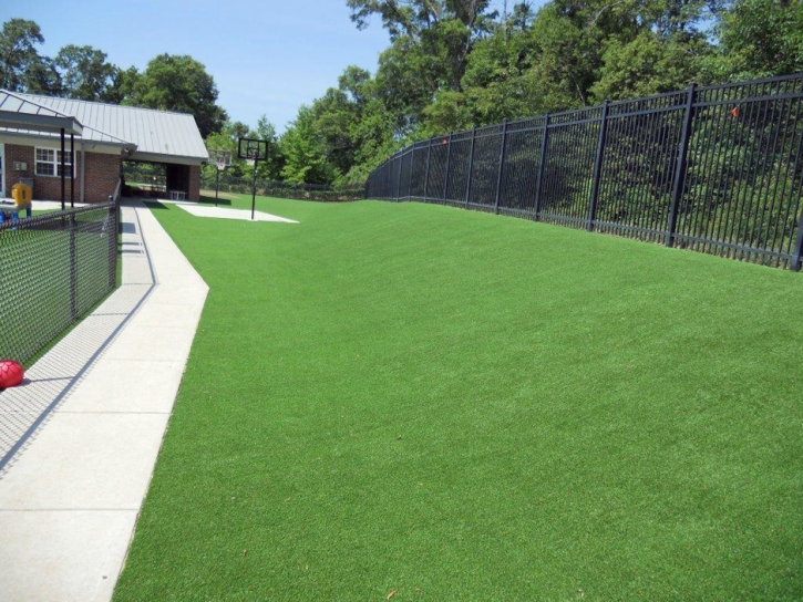 Artificial Turf Williams, California Landscape Design, Commercial Landscape