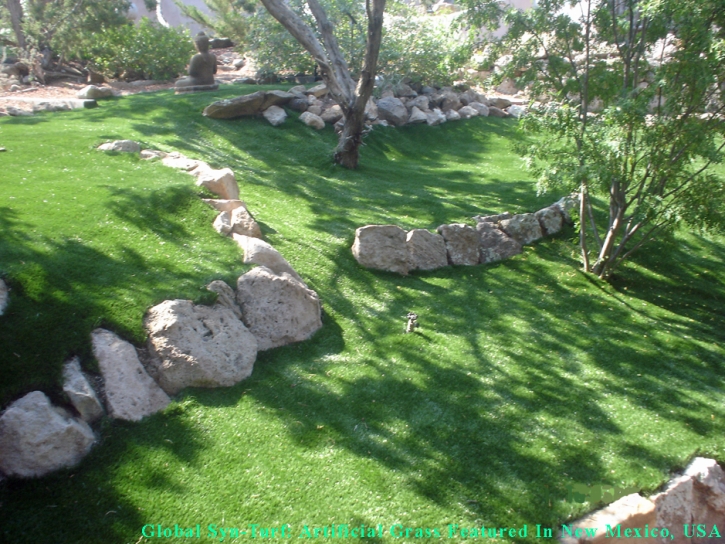 Best Artificial Grass Rio Linda, California Lawn And Garden, Commercial Landscape