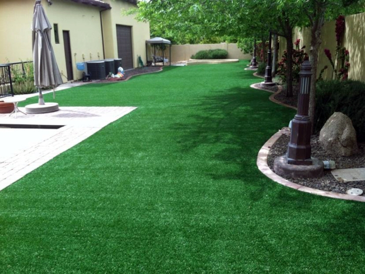 Fake Grass Carpet Avery, California Landscape Ideas, Backyard Garden Ideas