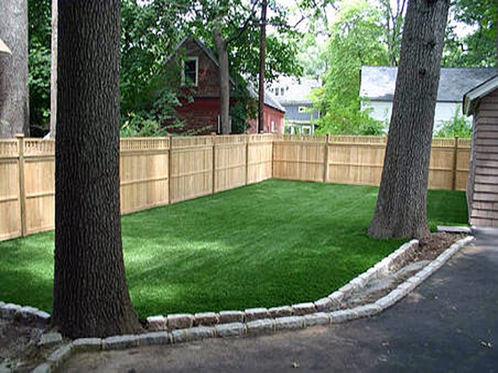 Fake Grass Carpet Graton, California Cat Grass, Small Backyard Ideas