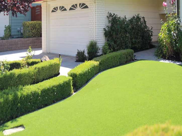 Fake Grass Carpet Highlands-Baywood Park, California Backyard Playground, Front Yard Landscaping