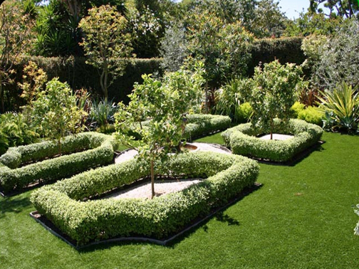 Fake Grass Carpet Inverness, California Backyard Deck Ideas