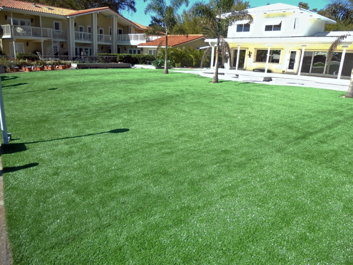 Fake Grass Carpet Richmond, California Landscape Ideas, Natural Swimming Pools