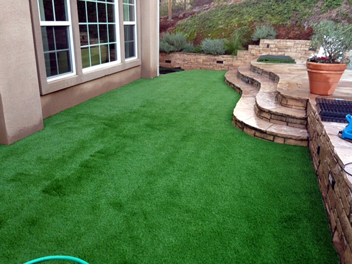 Fake Grass Carpet Richmond, California Landscape Photos, Backyards