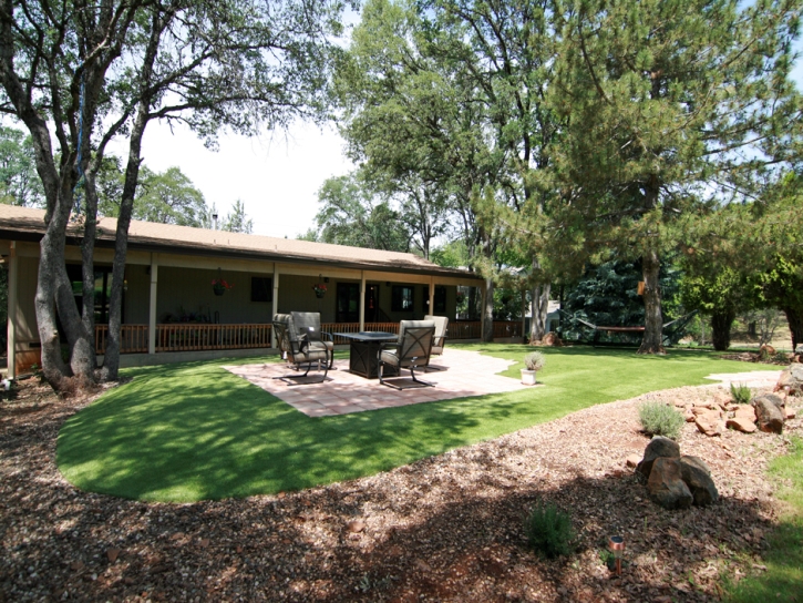 Fake Grass Carpet Rio Vista, California Roof Top, Backyard Garden Ideas