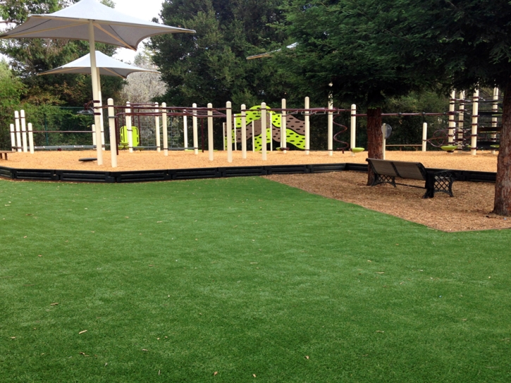 Fake Grass Hickman, California Athletic Playground, Backyards