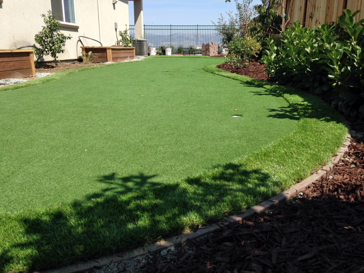 Fake Grass Lake Wildwood, California Gardeners, Backyard Landscaping Ideas