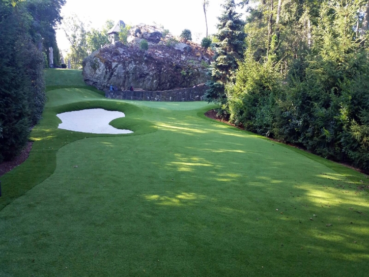 Fake Grass Linden, California Diy Putting Green, Commercial Landscape