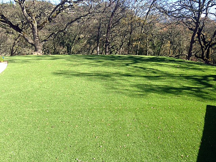 Fake Grass Oroville East, California Landscape Photos, Recreational Areas