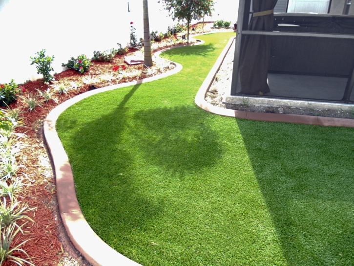 Fake Grass Richvale, California Lawn And Garden, Backyard Makeover