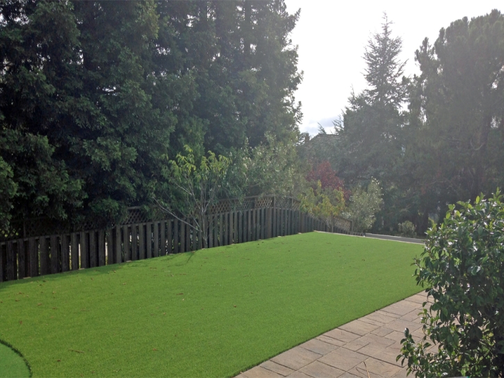 Fake Grass Truckee, California Garden Ideas, Backyard Makeover