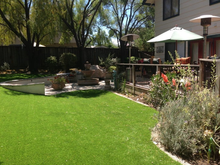 Fake Grass Waldon, California Lawns, Backyard Landscaping Ideas