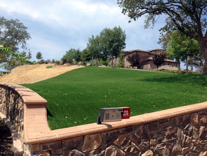 Fake Lawn Bear Valley, California Lawns, Front Yard