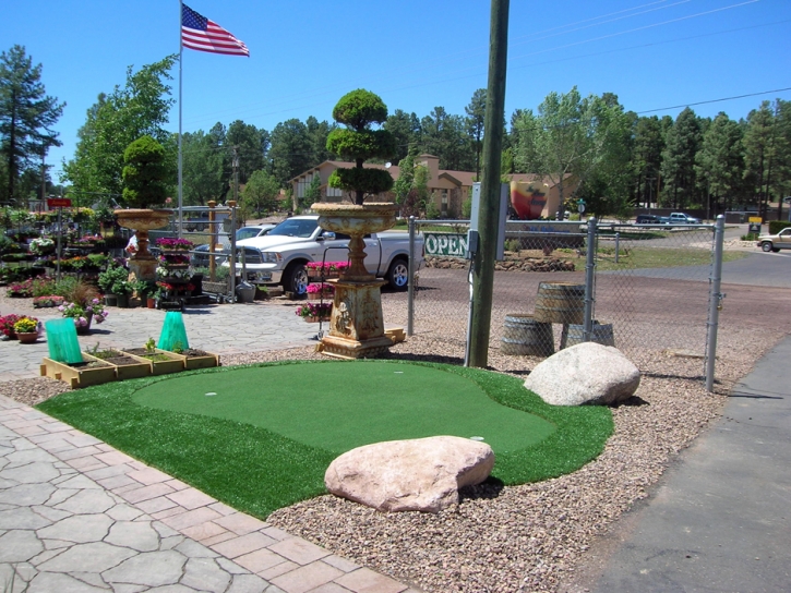 Fake Lawn Challenge-Brownsville, California How To Build A Putting Green, Commercial Landscape