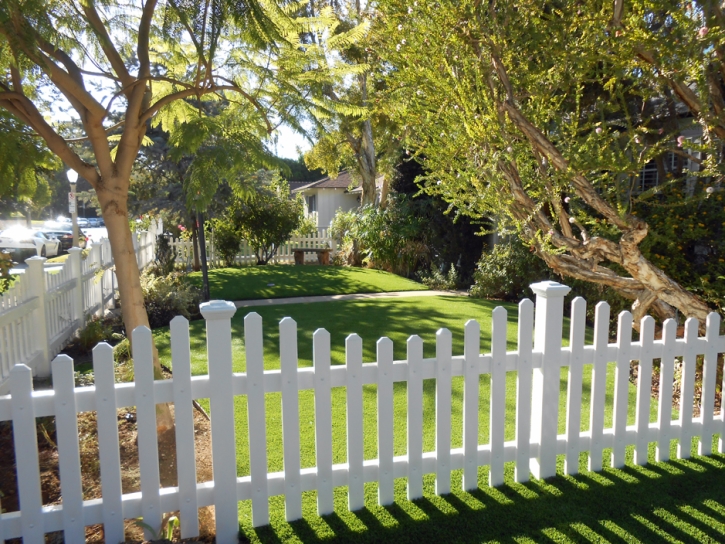 Fake Lawn Cherokee, California Backyard Playground, Small Front Yard Landscaping