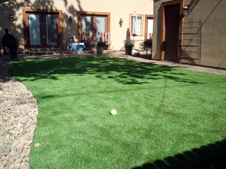 Fake Lawn East Oakdale, California Lawns, Backyards