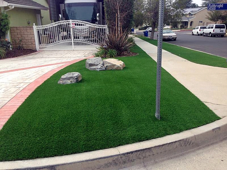 Fake Lawn Emeryville, California City Landscape, Front Yard Landscape Ideas