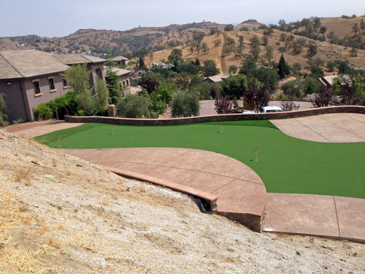 Fake Lawn Rutherford, California City Landscape, Backyard