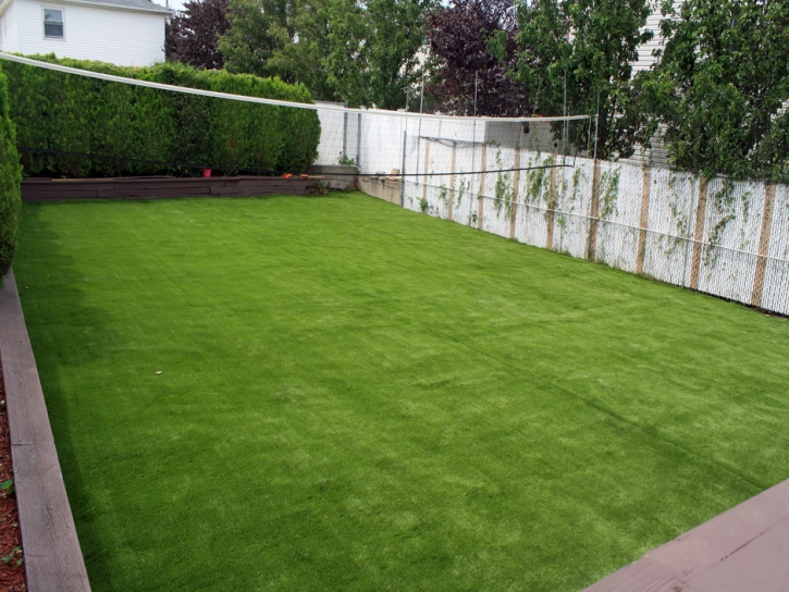 Fake Lawn San Ramon, California Lawn And Landscape, Backyard Designs