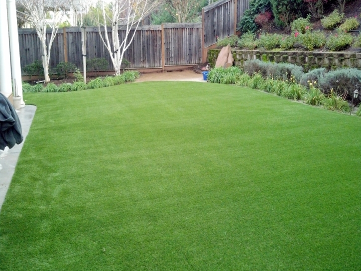 Fake Lawn Santa Rosa, California Garden Ideas, Backyard Makeover