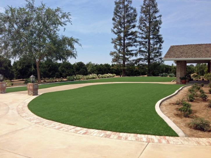 Fake Lawn Stinson Beach, California Landscape Ideas, Front Yard