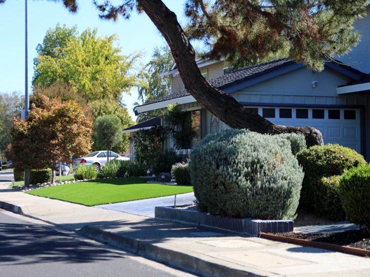 Fake Turf Belmont, California Landscape Rock, Front Yard Landscaping