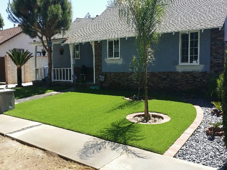 Fake Turf Foster City, California Rooftop, Small Front Yard Landscaping