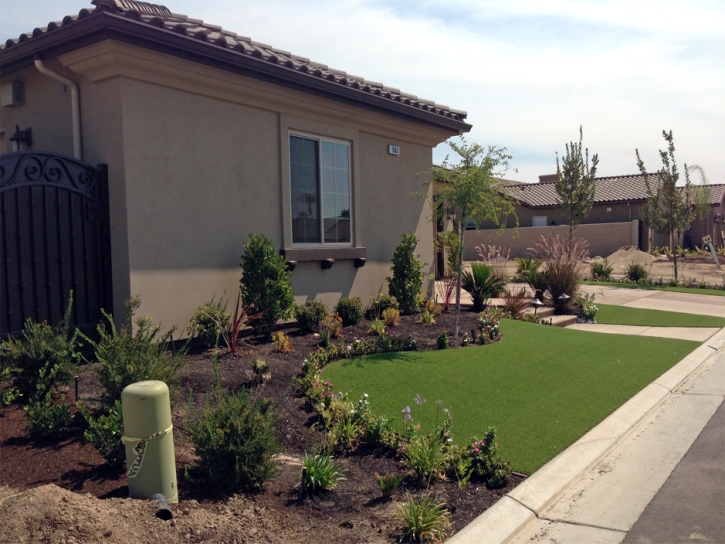 Fake Turf Hayward, California Landscape Photos, Front Yard Landscaping Ideas