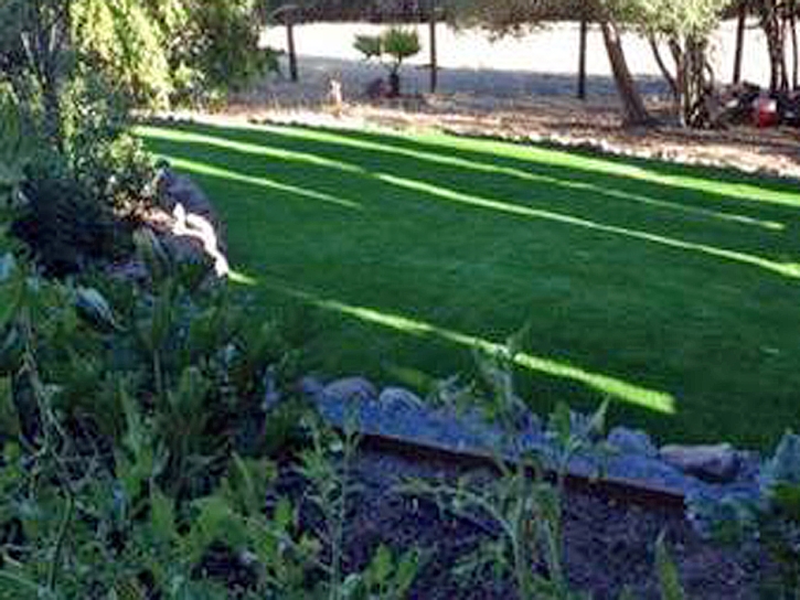 Fake Turf Lagunitas-Forest Knolls, California Landscaping Business, Backyards