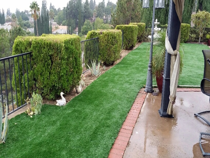 Fake Turf Monte Rio, California Gardeners, Backyard Landscaping Ideas