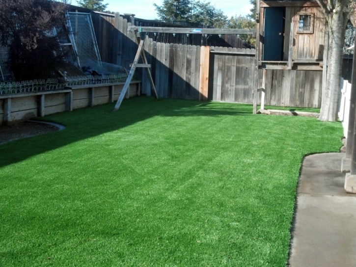 Fake Turf Nice, California Lawns, Backyard Landscaping Ideas