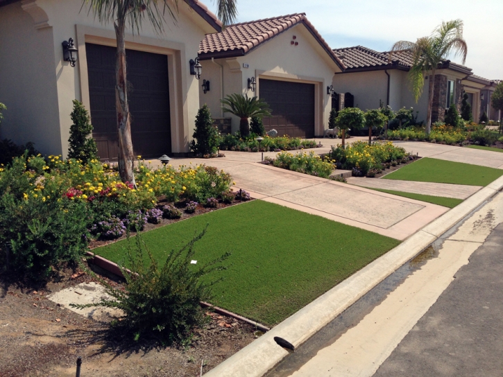 Fake Turf Rough and Ready, California Landscape Design, Landscaping Ideas For Front Yard