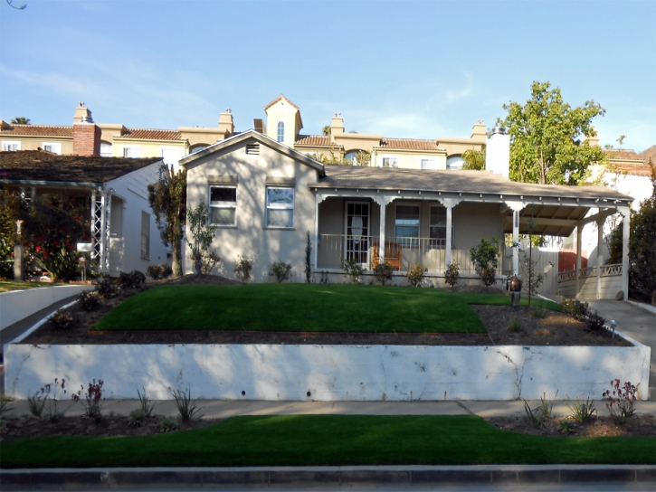 Faux Grass Berry Creek, California Garden Ideas, Front Yard Ideas