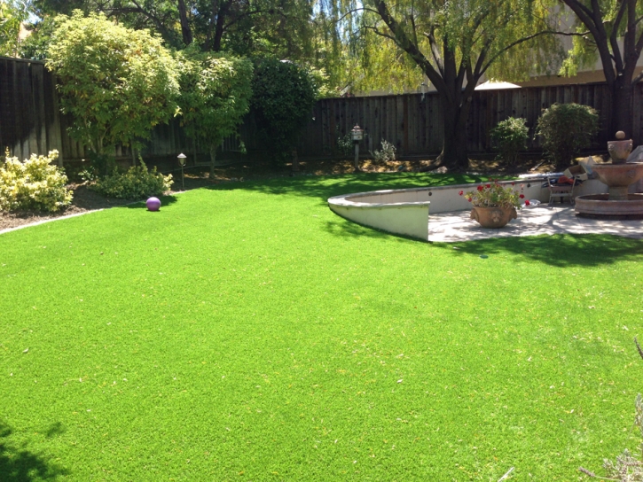 Faux Grass Bethel Island, California Lawns, Backyard Garden Ideas