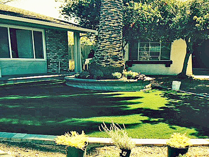 Faux Grass Bret Harte, California Lawn And Landscape, Front Yard Design