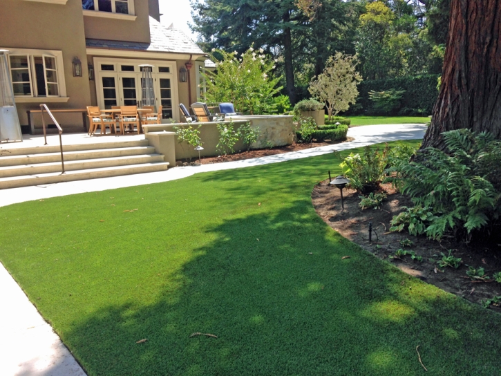 Faux Grass Dobbins, California Lawn And Garden, Backyard Landscaping Ideas