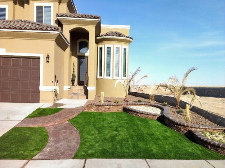 Faux Grass Elmira, California City Landscape, Front Yard Design