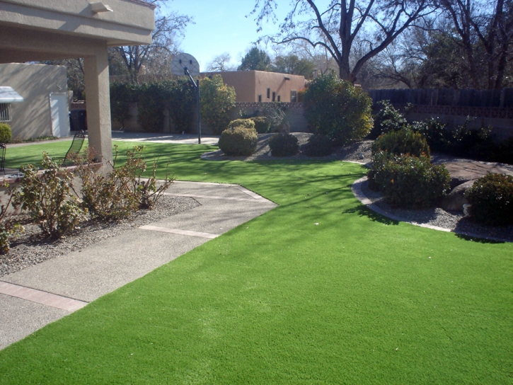 Faux Grass Hartley, California Backyard Playground, Front Yard Ideas