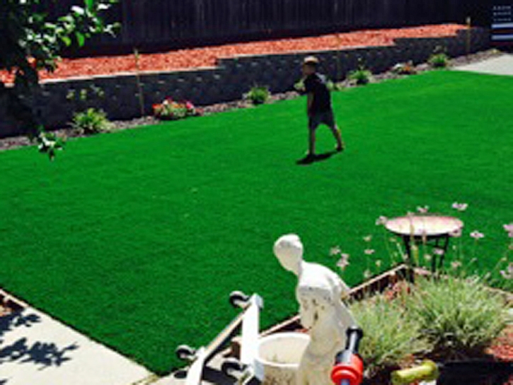 Faux Grass Healdsburg, California Gardeners, Beautiful Backyards