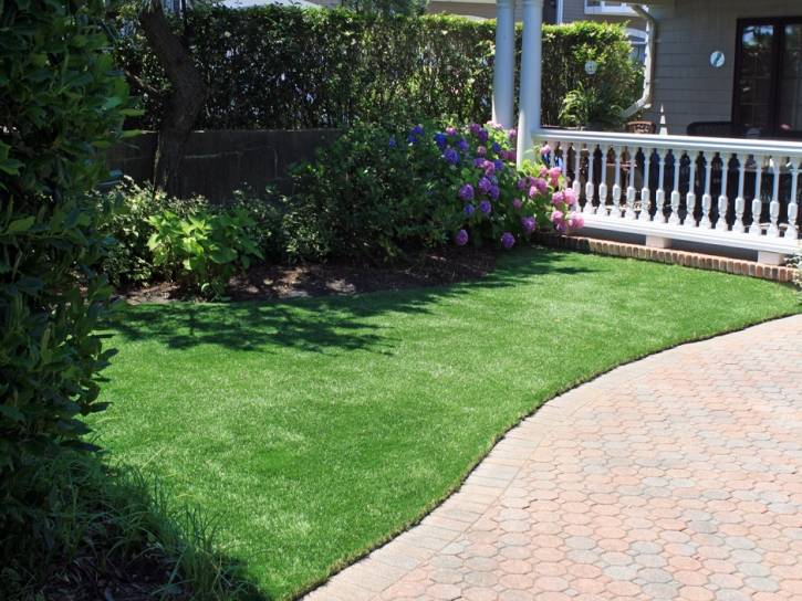 Faux Grass Madison, California Gardeners, Front Yard Landscaping