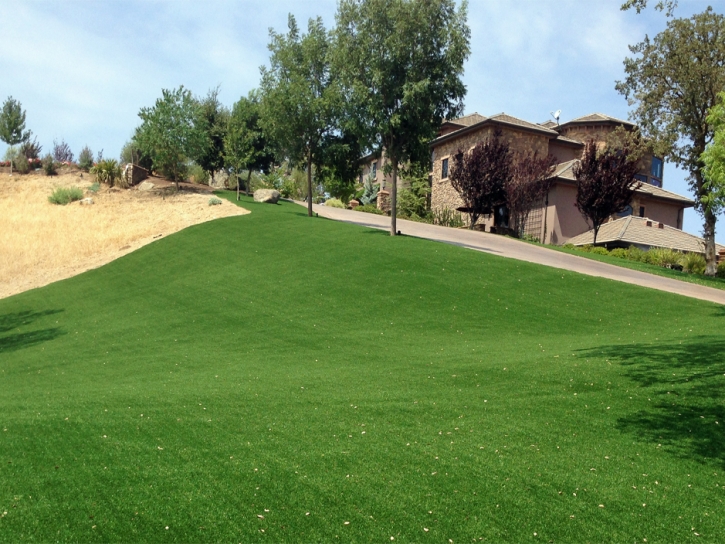 Faux Grass Mountain View, California Lawn And Landscape, Front Yard Design