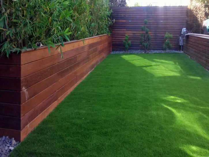 Faux Grass North Richmond, California Roof Top, Backyard Designs