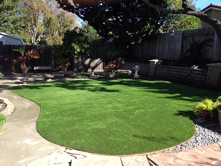 Faux Grass Salida, California Landscape Rock, Backyard Landscaping Ideas